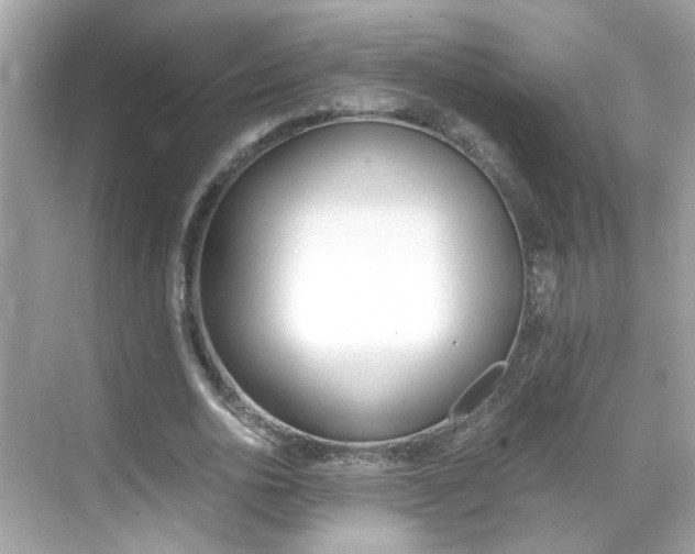 X0000069410726200605121048