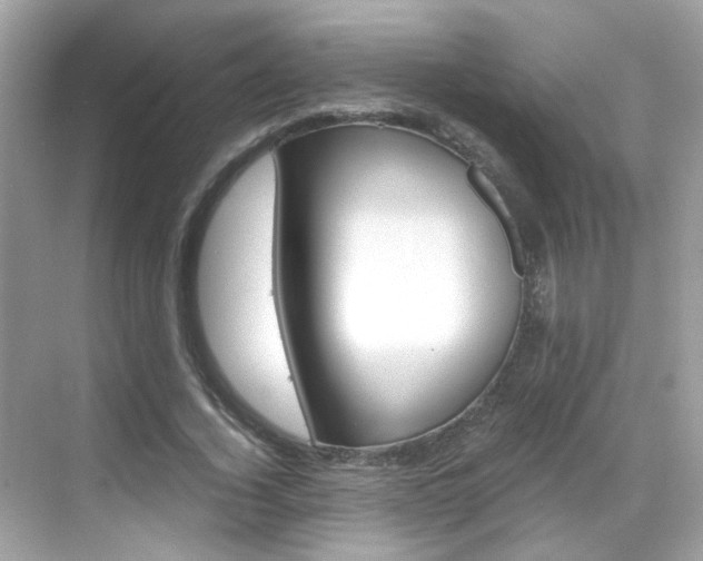 X0000069410732200605121048