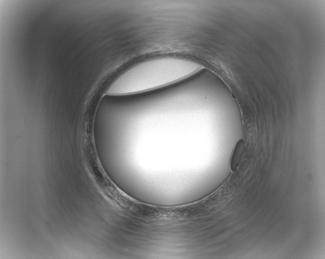 X0000069410736200605121048