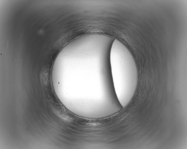 X0000069410741200605121048
