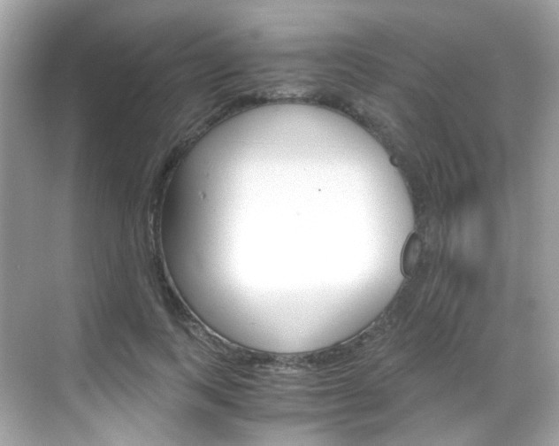 X0000069410743200605121048