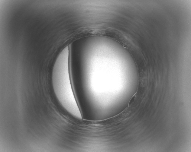 X0000069410748200605121048