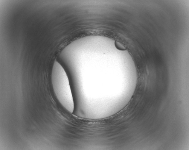 X0000069410749200605121048