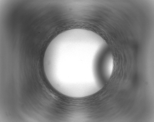 X0000069410750200605121048
