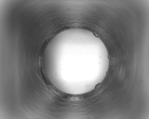 X0000069410751200605121048