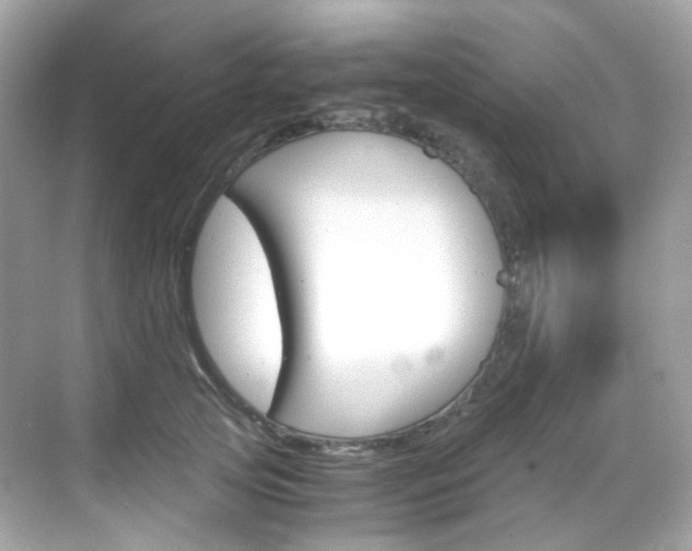X0000069410753200605121048