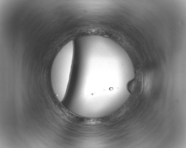 X0000069410754200605121048