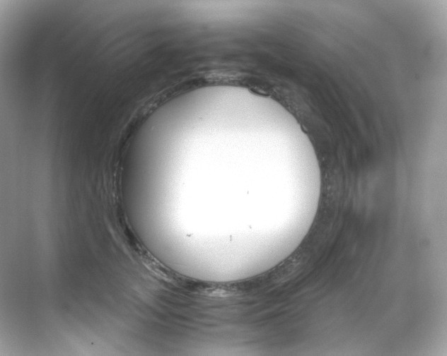 X0000069410755200605121048