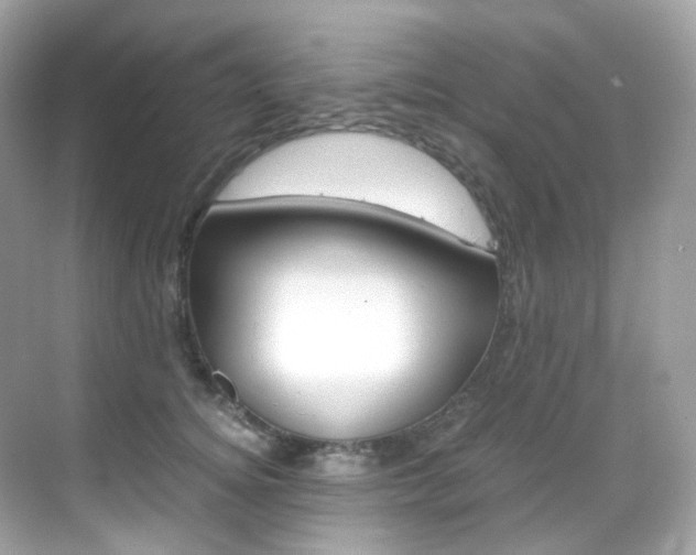 X0000069410756200605121049