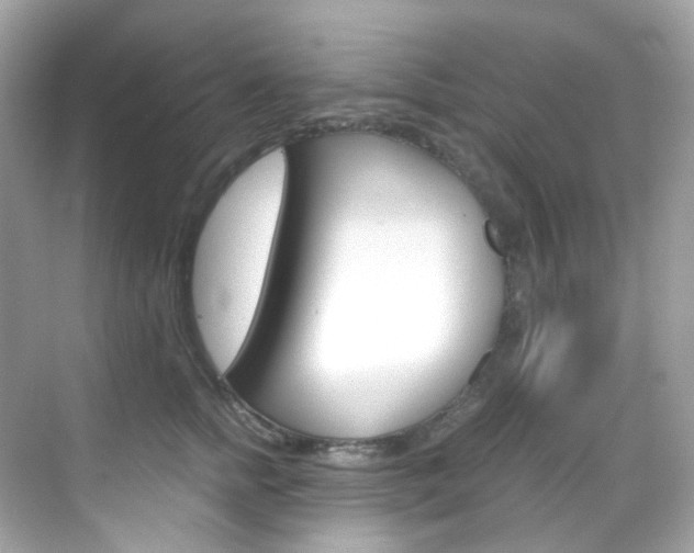 X0000069410758200605121049