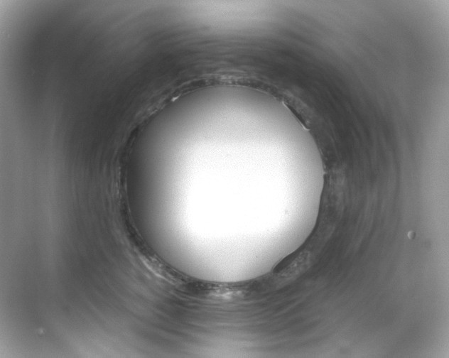 X0000069410760200605121049