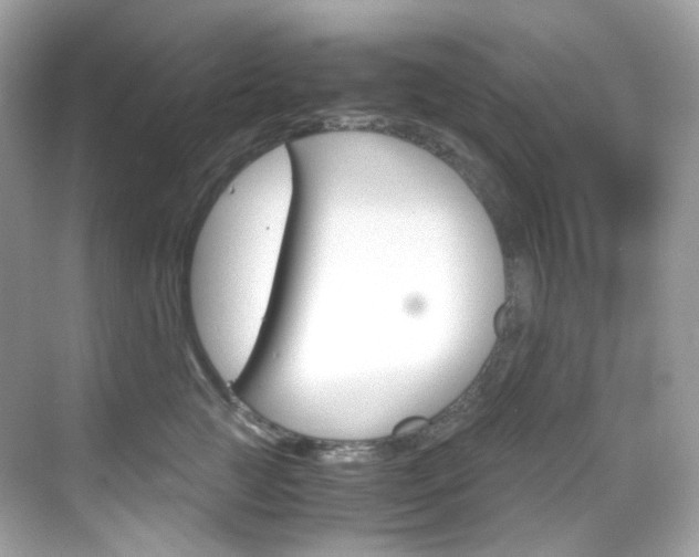 X0000069410761200605121049