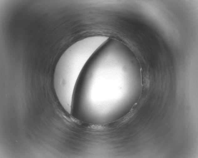 X0000069410766200605121049