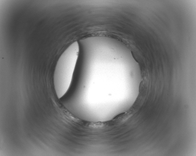 X0000069410767200605121049