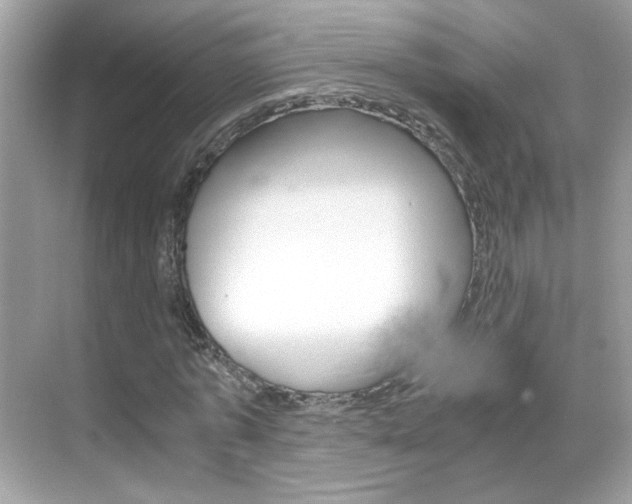X0000069410773200605121048