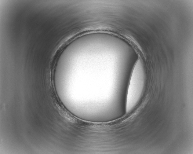 X0000069410781200605121048