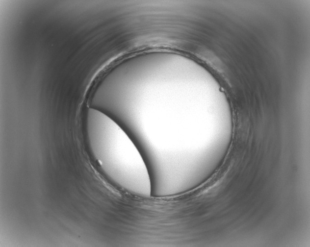X0000069410782200605121048