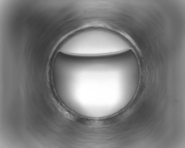 X0000069410783200605121048
