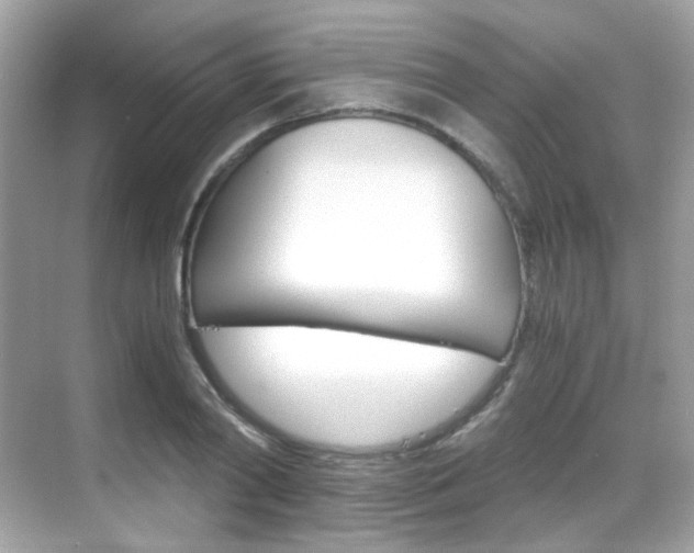 X0000069410790200605121048
