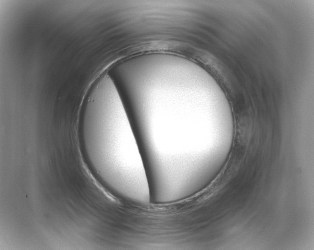 X0000069410794200605121047