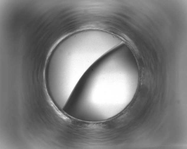 X0000069410796200605121047