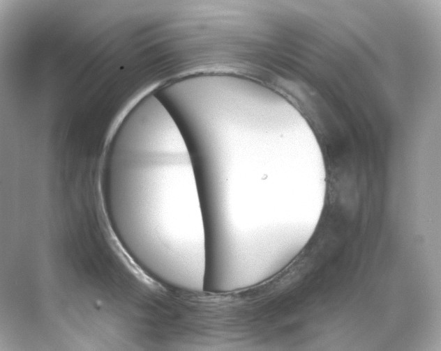 X0000069410804200605121047