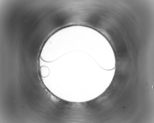 X0000069410807200605121047