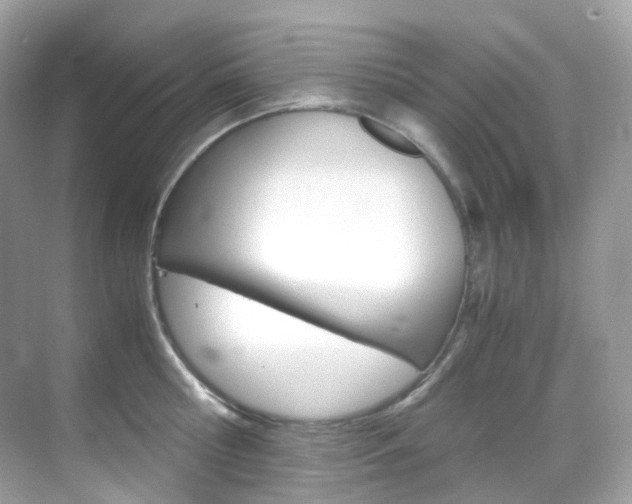 X0000069410810200605121047