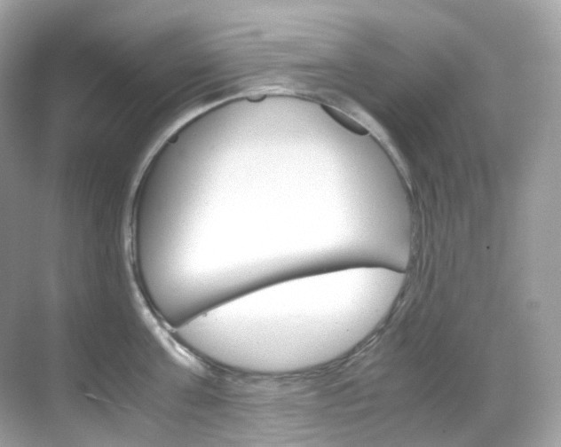 X0000069410811200605121047