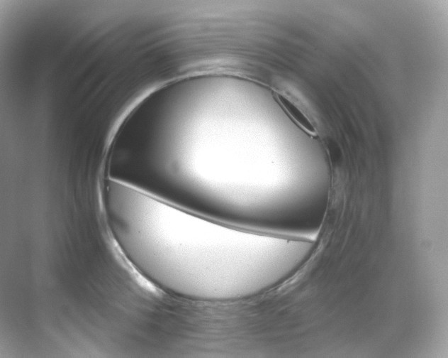 X0000069410812200605121047