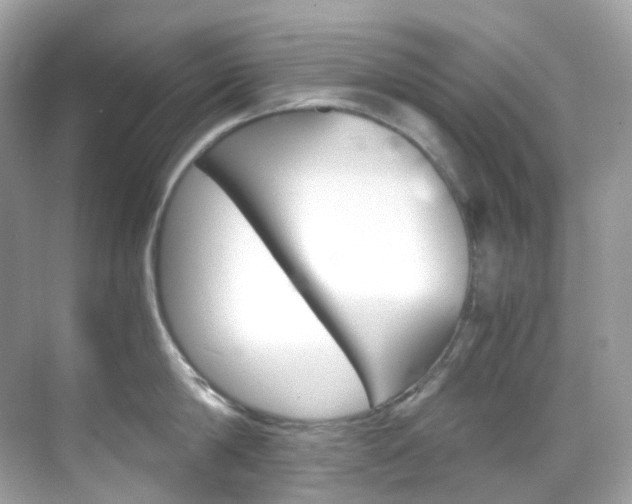 X0000069410814200605121047