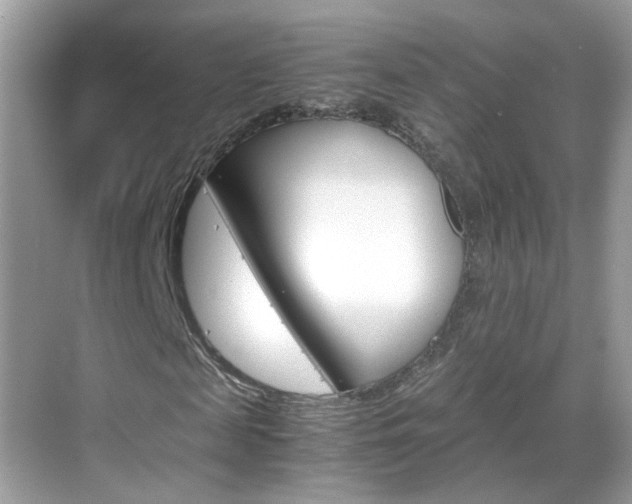 X0000069410817200605121046