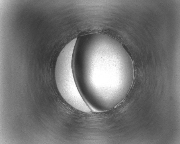 X0000069410818200605121046