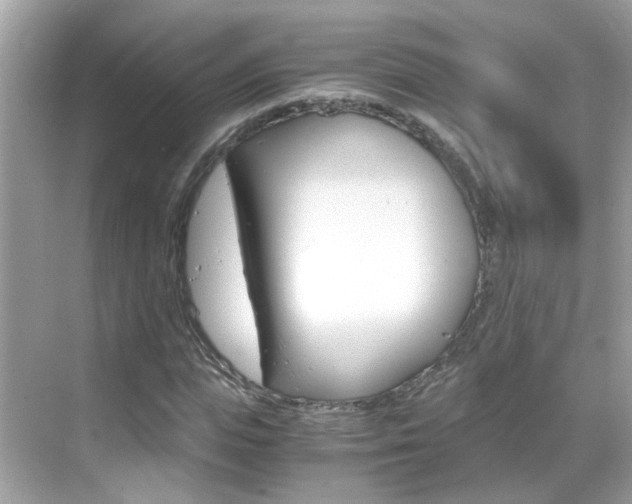 X0000069410823200605121046