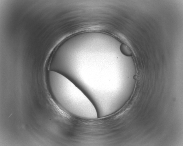 X0000069410835200605121047