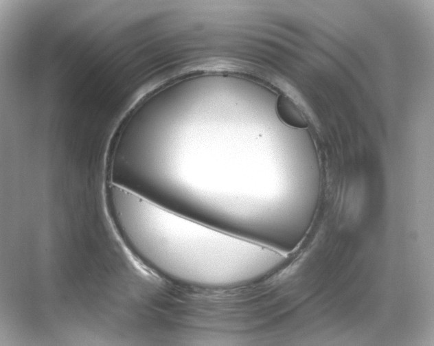 X0000069410845200605121047