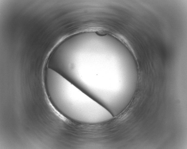 X0000069410851200605121047