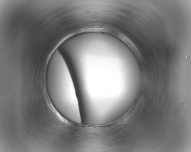 X0000069410852200605121047