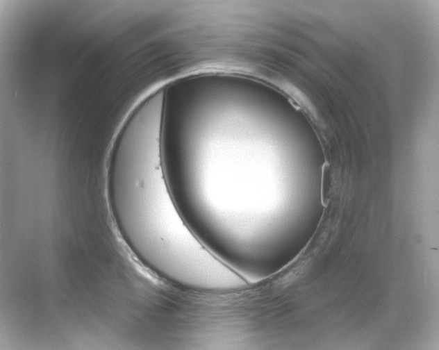 X0000069410854200605121047