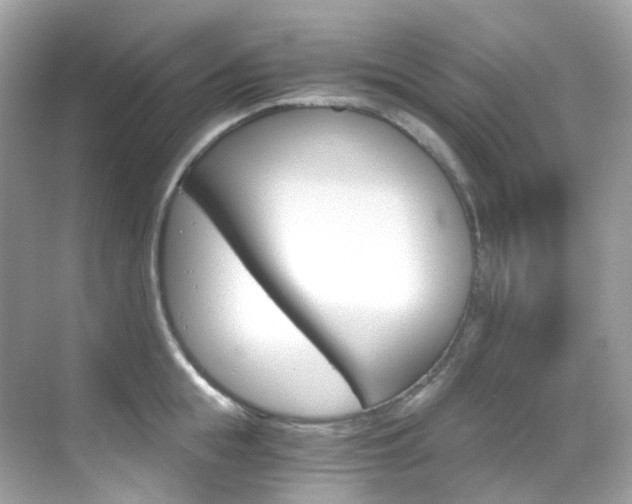 X0000069410855200605121047