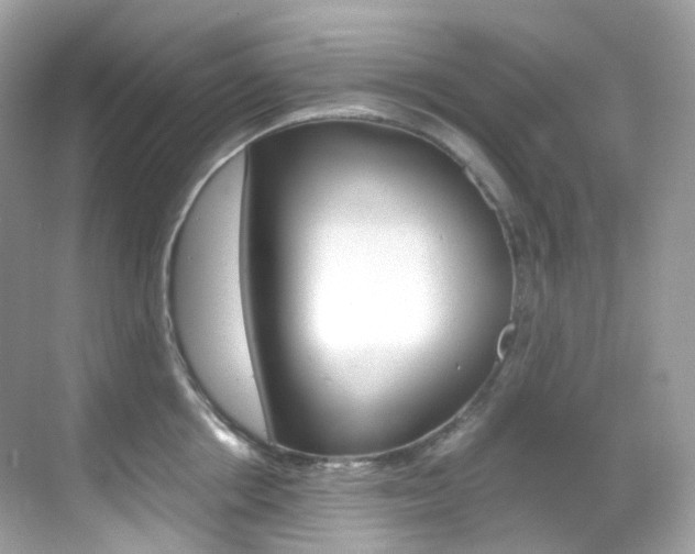 X0000069410858200605121047