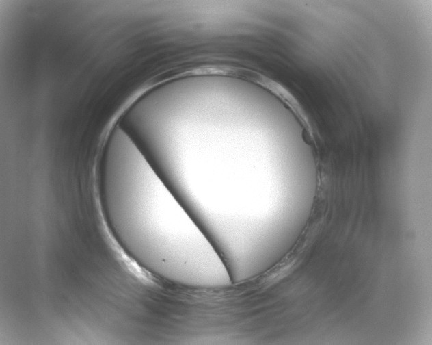 X0000069410859200605121047