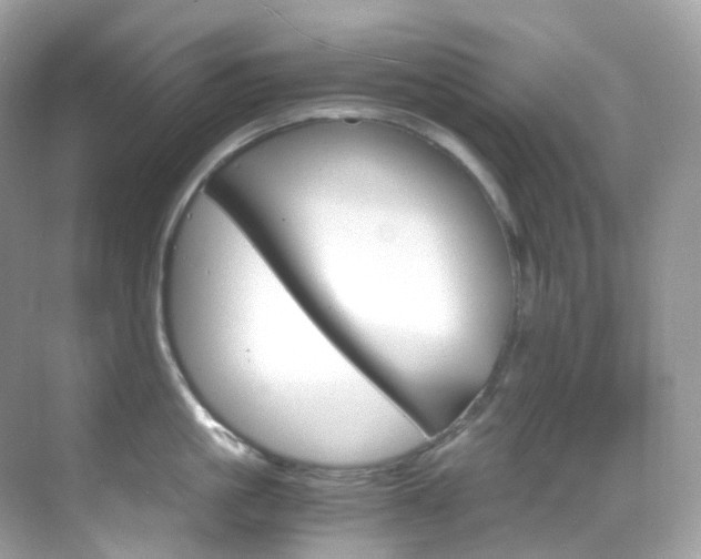 X0000069410861200605121047