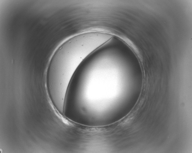 X0000069410862200605121047