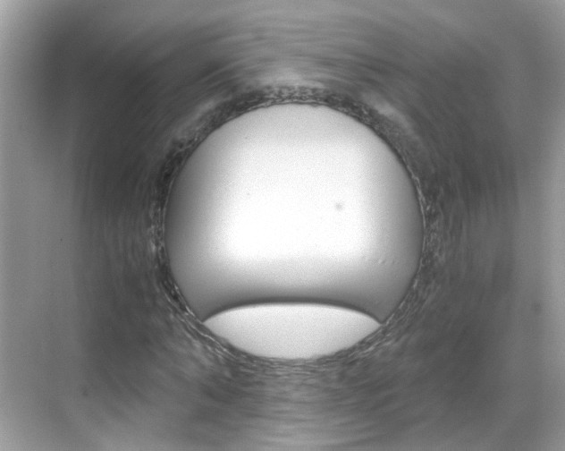 X0000069410870200605121046