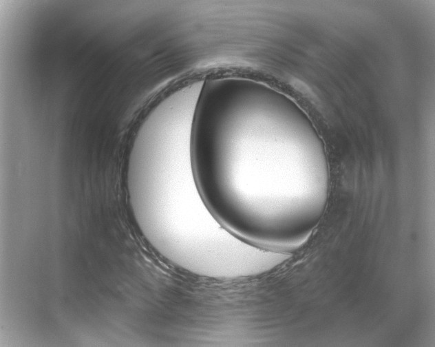 X0000069410872200605121046