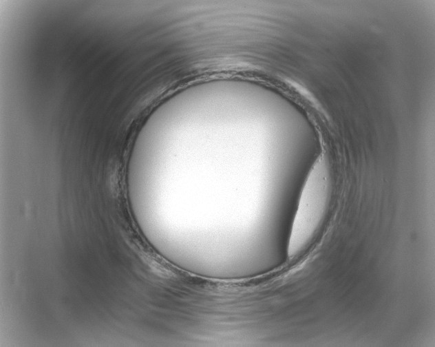X0000069410873200605121046