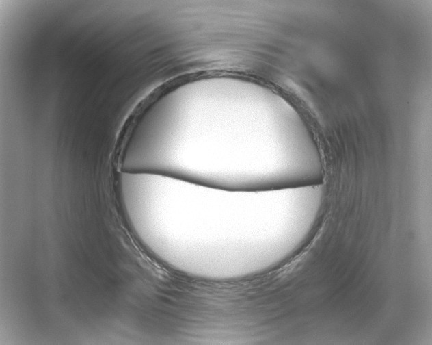 X0000069410875200605121046