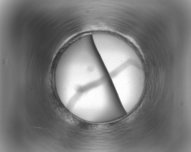 X0000069410879200605121046