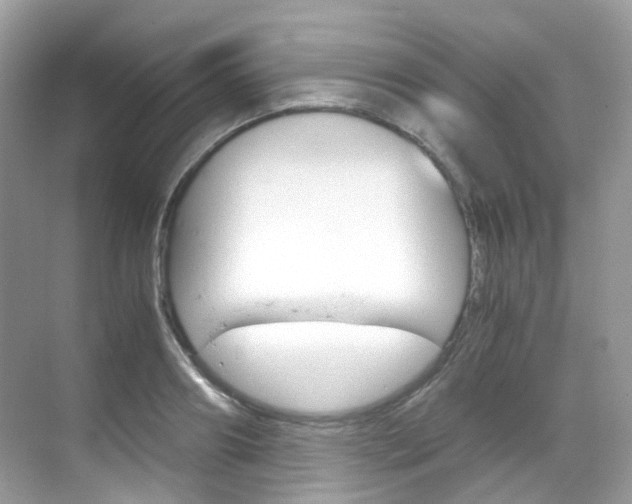X0000069410890200605121046